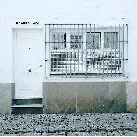 Coqueto Apartamento En El Arenal, Centro セビリア エクステリア 写真